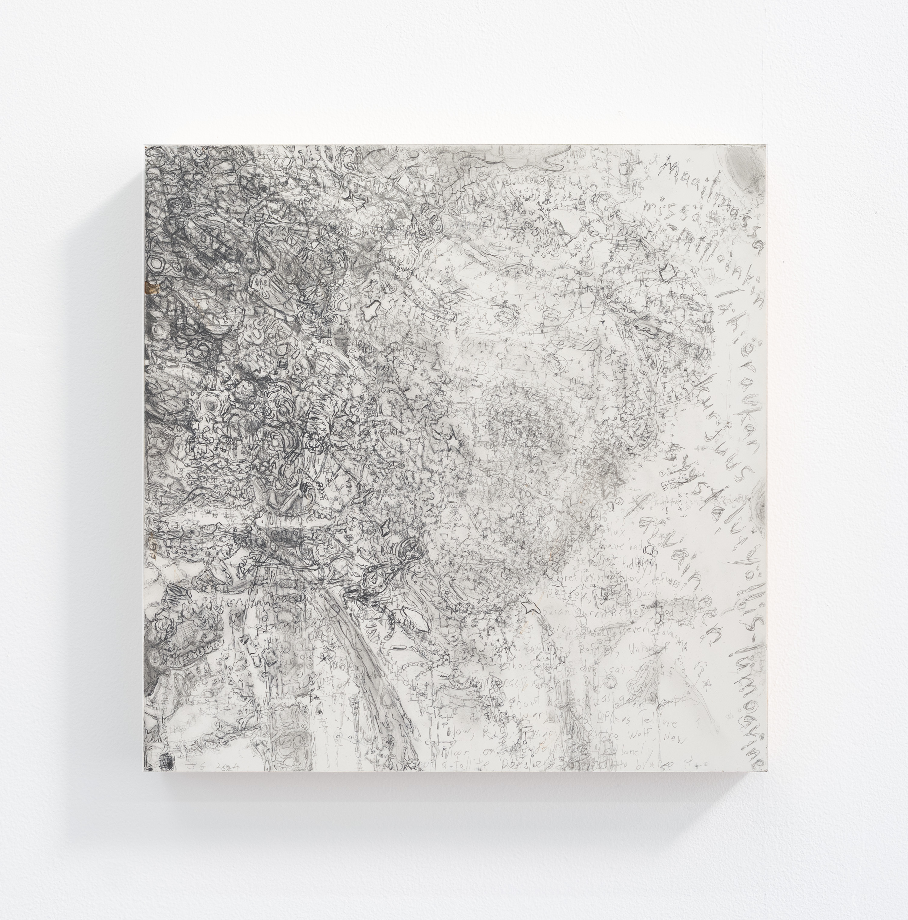 The embittered search for the explanatory in the early post-observation-description era